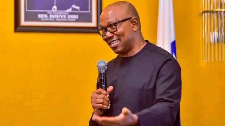 Politics In Nigeria Taken Over By Lunatics, Says Peter Obi