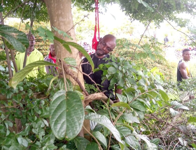 Unknown Man Found Dead, Hung On A Tree In Abraka