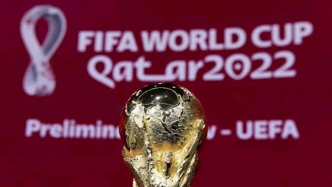 World Cup: Qatar Bans Sex Between Unmarried Players, Fans