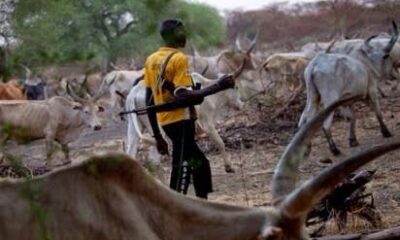 Kidnapping, Cattle Herders: A Call For Action