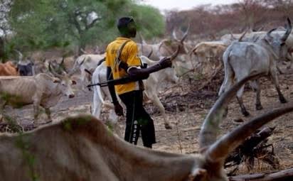 Kidnapping, Cattle Herders: A Call For Action