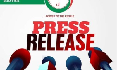 Delta PDP Says APC, "A Lunacy Driven By Blind Agitprop And Wild Squawk"