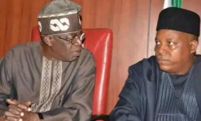 Tinubu Postpones Official Unveiling Of Shettima As Running