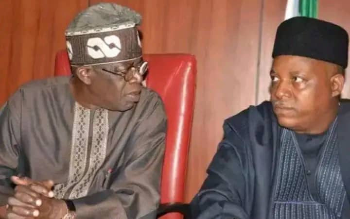 Tinubu Postpones Official Unveiling Of Shettima As Running