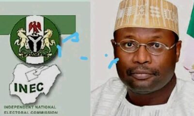 INEC Erred In Publishing Delta APC Candidates To Public Domain