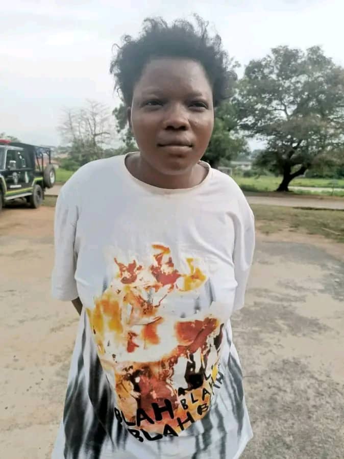 Ibadan: Police Nab Woman Who Absconded With Three-day-old Baby