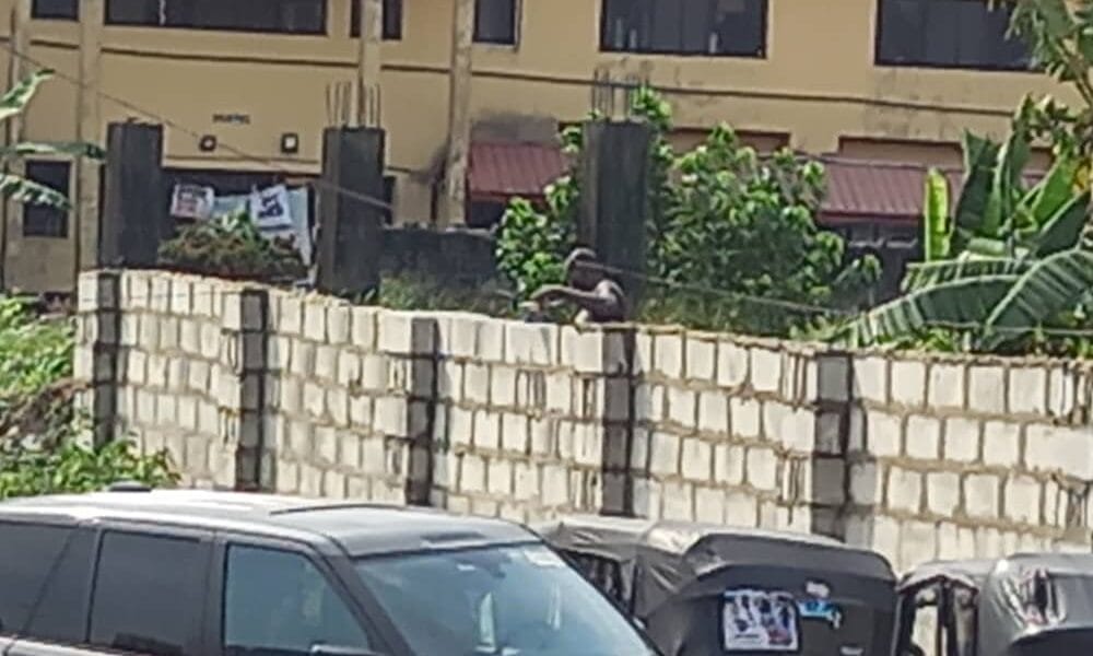 You're Wicked Tp Warri, Deltans Lambast Gov. Okowa Over Alleged Illegal Sale Of Govt Property 