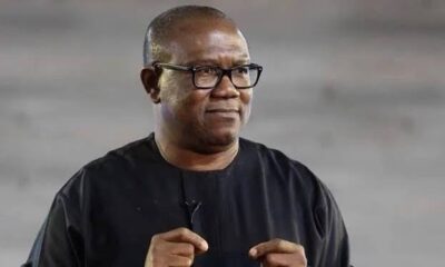 Peter Obi’s Media Team Speaks On Report Of His Son ‘Stepping’ On Nigerian Flag