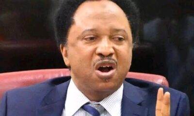 Shehu Sani: Governors Who Want Buhari To Sack Civil Servants Above 50 Years Should First Of All Sack Themselves