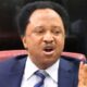 Shehu Sani: Governors Who Want Buhari To Sack Civil Servants Above 50 Years Should First Of All Sack Themselves