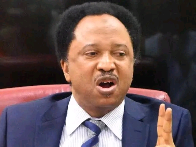 Shehu Sani: Governors Who Want Buhari To Sack Civil Servants Above 50 Years Should First Of All Sack Themselves