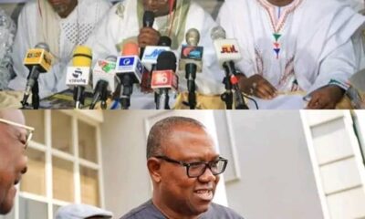 2023: Miyetti Allah Says Any Fulani Man Who Votes Obi Must Be Questioned Because Obi Represents Biafra