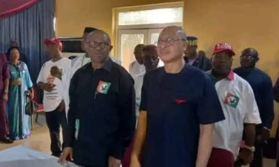 2023: Confusion Hits Labour Party As Peter Obi Set To Be Disqualified To Run