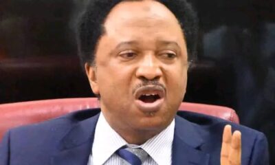 Shehu Sani: Outside Forces Fully Involved In PDP Crisis-