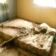 Shock As Landlord’s Skeleton Is Found On His Bed 4 Years After He Was Last Seen In Oyo