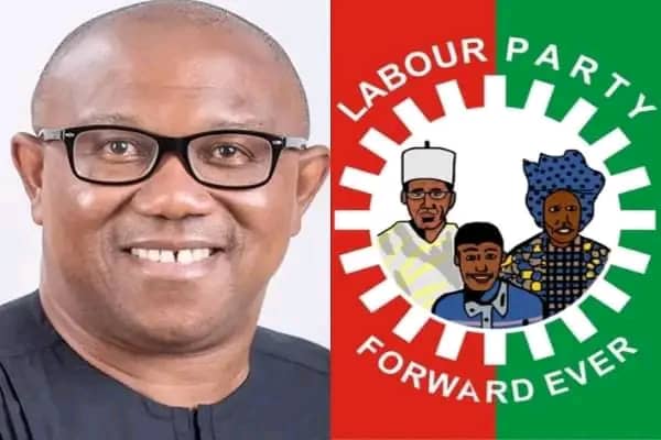 Labour Party Rejects Peter Obi's Presidential Campaign List, Insists North Must Get Position Of Campaign DG