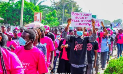 CSOs Stage 3 Kilometer Walk To Raise Awareness On Breast Cancer In Bauchi