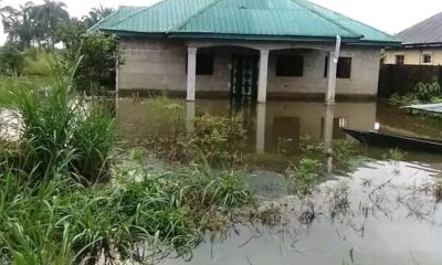Flood: Delta Records 22 New Babies In IDP Camps