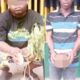 Herbalist, Suspected Yahoo Boy Caught With Human Parts In Obiaruku