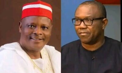 2023: I Regret Not Forming Alliance With Peter Obi, Says Kwankwaso