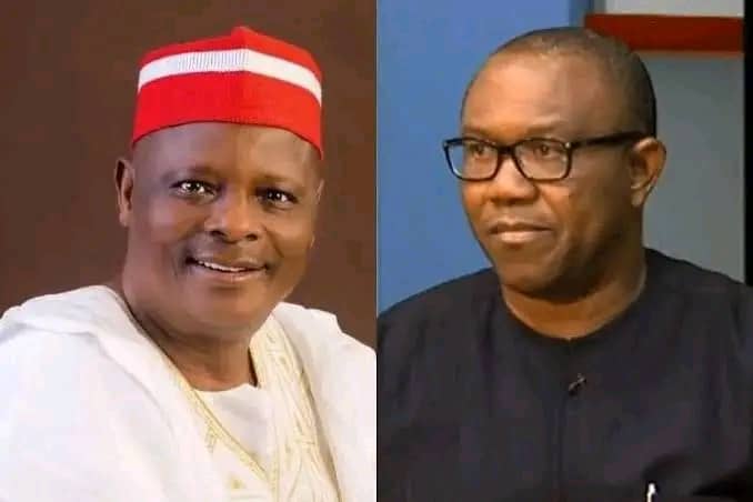 2023: I Regret Not Forming Alliance With Peter Obi, Says Kwankwaso