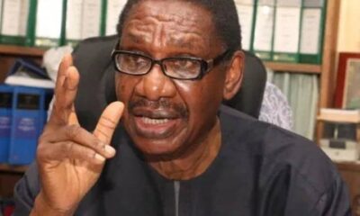 2023: Sagay Backs Tinubu On Claims On Alleged Sabotage