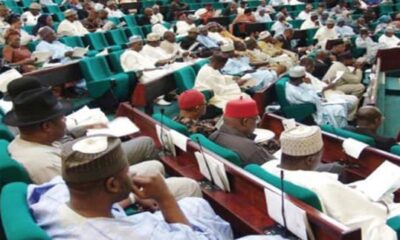 Old Naira Notes: Reps Committee Kick Against 10-day EXTENSION