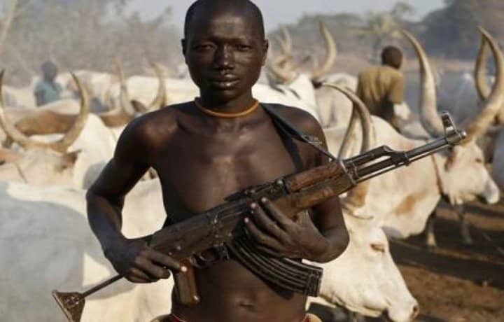 Fulani Herdsmen Kill Benue DPO