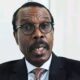 Rewane: Naira Crunch May Cause $18M GDP Loss Per Month