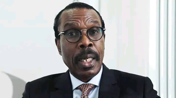 Rewane: Naira Crunch May Cause $18M GDP Loss Per Month