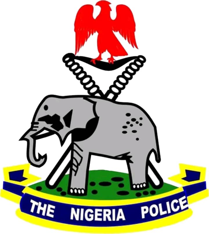 2023: IGP Orders Restriction Of Movement On Election Day