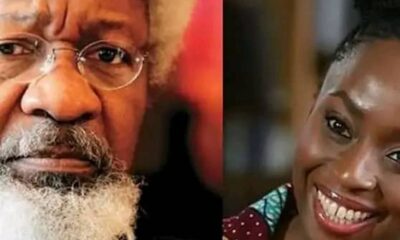 Comparing Soyinka With Chimamanda Is Mischievous –Conference Of Southwest Writers