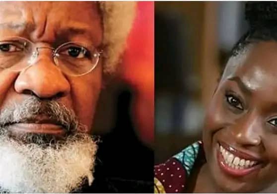Comparing Soyinka With Chimamanda Is Mischievous –Conference Of Southwest Writers