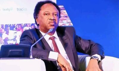 Shehu Sani: Remove ‘Obidients’, Nigerians Will Be Faced With Tyranny