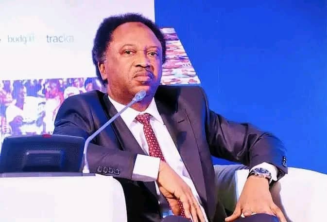 Shehu Sani: Remove ‘Obidients’, Nigerians Will Be Faced With Tyranny