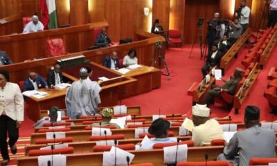 See Full List Of 109 Senators Elected Into 10th National Assembly