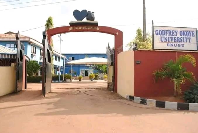 Godfrey Okoye University Bans Staff, Students From Fixing Artificial Nails, Eyelashes On Campus