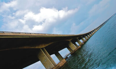 Man Jumps Off Bridge In Suspected Suicide Attempt In Delta