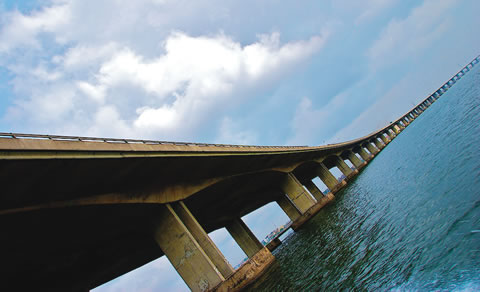Man Jumps Off Bridge In Suspected Suicide Attempt In Delta
