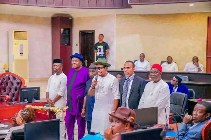 Assembly Screens, Confirms Nominees For Board Of DESOPADEC
