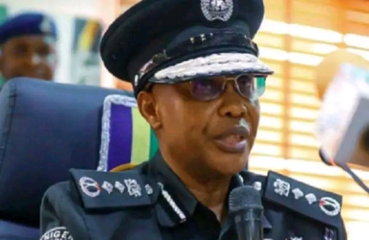 Court Reverses Sack Order On Inspector General Of Police, Usman Baba