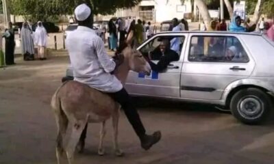 Transport Fares: Borno Varsity Student Arrives Campus On Donkey