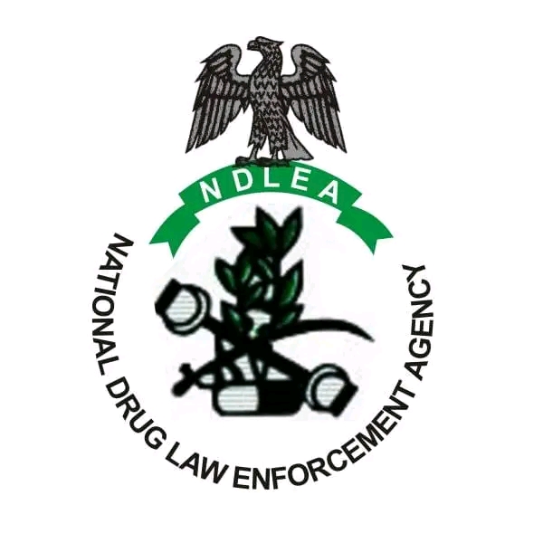 NDLEA Busts Drug Dealers Nets