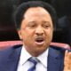 Shehu Sani Advises Opposition Parties To Focus On Future Elections, Allow FG Govern