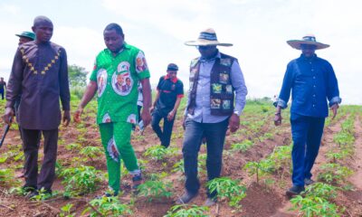 Enugu Gov't Intensifies Cassava Production, As Uzo-Uwani Targets 500 Hectares Of Cassava Farm