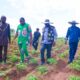 Enugu Gov't Intensifies Cassava Production, As Uzo-Uwani Targets 500 Hectares Of Cassava Farm