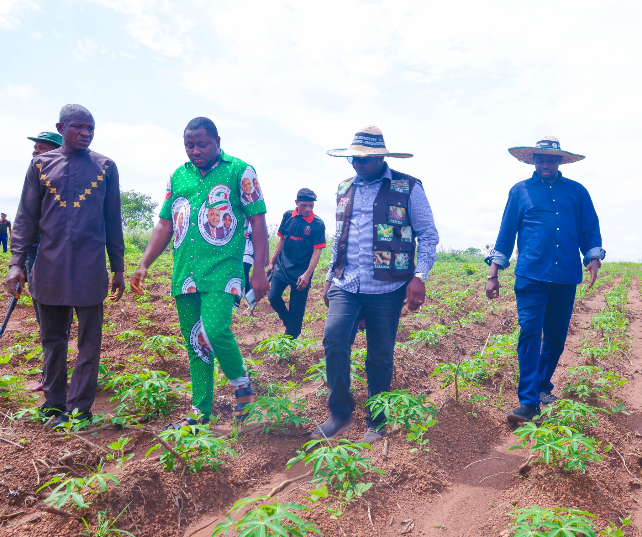 Enugu Gov't Intensifies Cassava Production, As Uzo-Uwani Targets 500 Hectares Of Cassava Farm