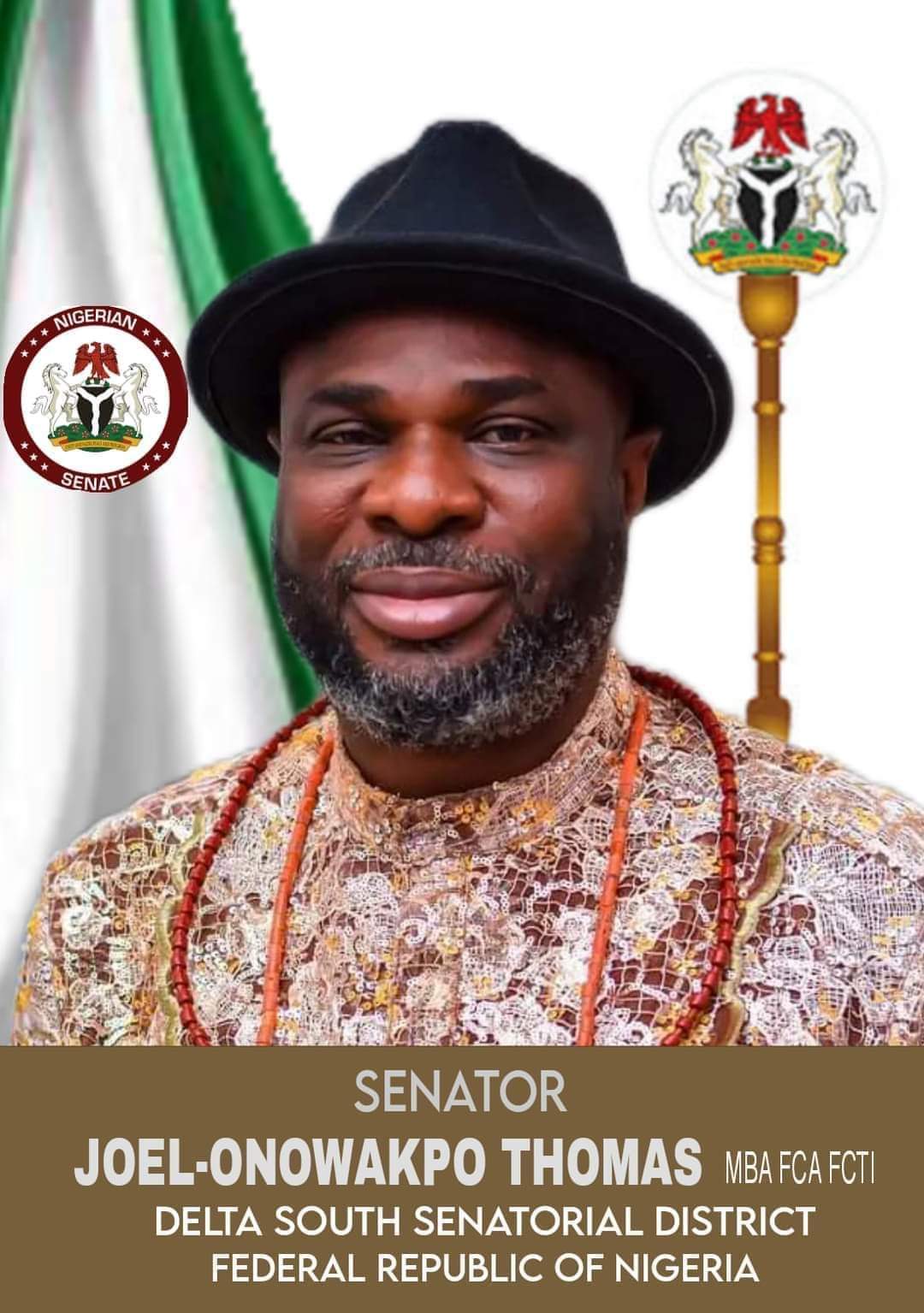 Senator Onowakpo In The Red Chamber: A Messianic Representative