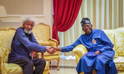 Soyinka Visits President Tinubu, Says He’ll Assess Govt After One Year