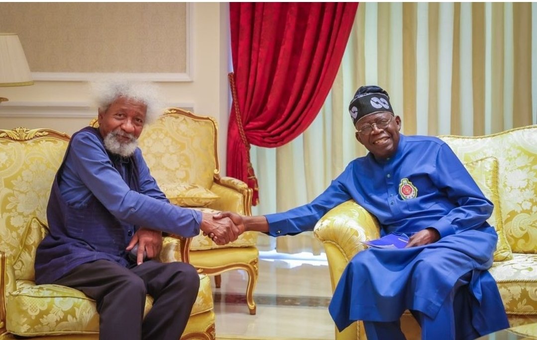 Soyinka Visits President Tinubu, Says He’ll Assess Govt After One Year